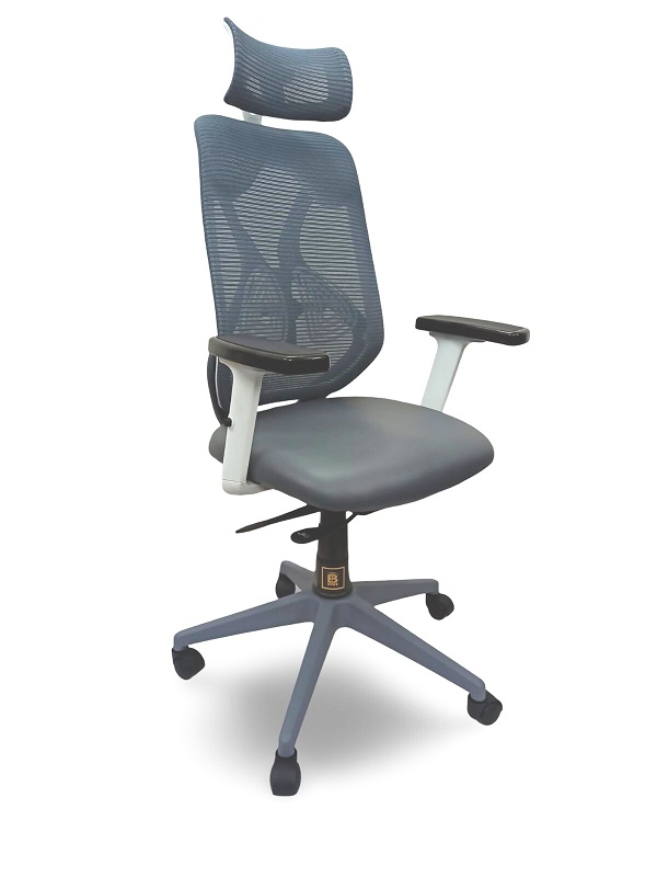BS-PM 1007